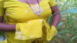 Tamil village aunty pussy show in farm land