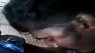 Tamil local gay boys outdoor blowjob sex video