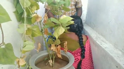 Salem local village aunty doing blowjob in staircase