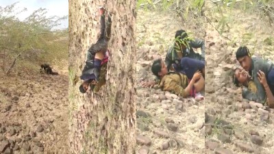 Village wife outdoor quick saree fucking captured