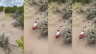 College couple outdoor fucking sexy mms