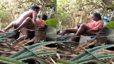Sri Lankan desi outdoor pussy ool romantic capture